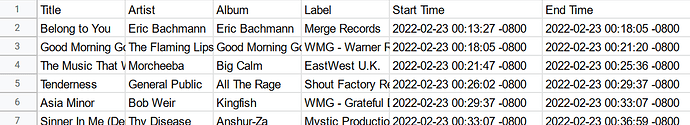 A spreadsheet with the pasted report