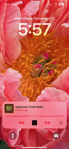 ghost program metadata 5am